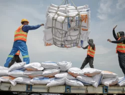 Thailand Batasi Penanaman Padi, Pasar Beras Global Bisa Makin Terguncang