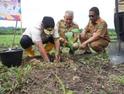 PJ Gubernur Bahtiar Ajak Masyarakat Pasangkayu Kembangkan Sukun