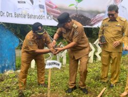 Hari Ini Tanam Sukun di Tiga Titik, Bahtiar: Tiada Hari Tanpa Menanam Sukun