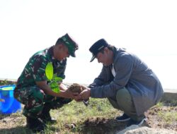 Sinergi Pemprov- TNI AL Sinergi Menjaga Ekosistem Laut lewat Program Terumbu Karang Buatan dan Menanam Pohon