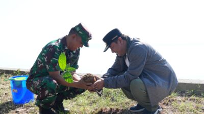 Sinergi Pemprov- TNI AL Sinergi Menjaga Ekosistem Laut lewat Program Terumbu Karang Buatan dan Menanam Pohon