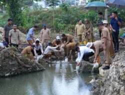 Dorong Sulbar Menjadi Pusat Komoditi Ikan Nila