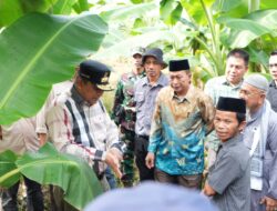 Serius Industrikan Pisang Kepo di Sulbar, Pj Bahtiar Boyong OPD nya Studi Lapang Pisang di  Tanralili Maros