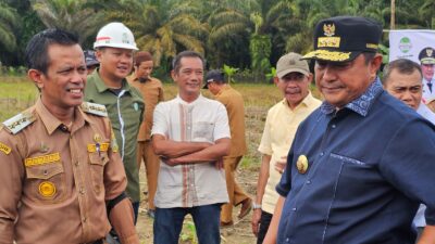 Menanam Pisang Cavendish Makin Diminati Warga Sulbar, Pj Bahtiar Hadiri Tanam Pisang di Pasangkayu