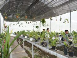 Pakar Hortikultura IPB Bahas Potensi Anggrek Mamasa