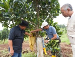 Bahtiar: Tanam Hortikultura Harus Jumlah Besar