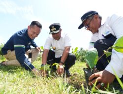 Setiap Saat Tanam Sukun, Komitmen Pj Bahtiar Selamatkan Sulbar Dari Bencana dan Ancaman Kelaparan