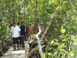 Menyambut Hari Jadi Sulbar 20 Tahun, Masyarakat Diimbau Sepekan Menanam Mangrove