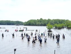 Galakkan Tanam Mangrove, Pengelola Wisata di Kalukku Apresiasi Pj Bahtiar