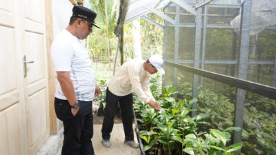 Pengusaha Budidaya Aren Apresiasi Program PJ Bahtiar