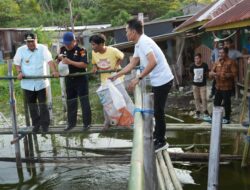 Pj Bahtiar Serahkan Bantuan Bibit Nila, Sukun dan Cavendish kepada Pemuda Pelopor Gerangan Pangan Sulbar