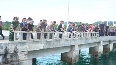 Pj.Bahtiar Bersama Forkopimda Turunkan Karang Buatan di Teluk Mamuju