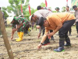 Penanaman Jagung Serentak 1 Juta Hektar, Komitmen PJ Gubernur Sulbar Dukung Percepatan Swasembada