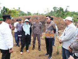 Warga Pasangkayu Antusias Kembangkan Pisang Cavendish