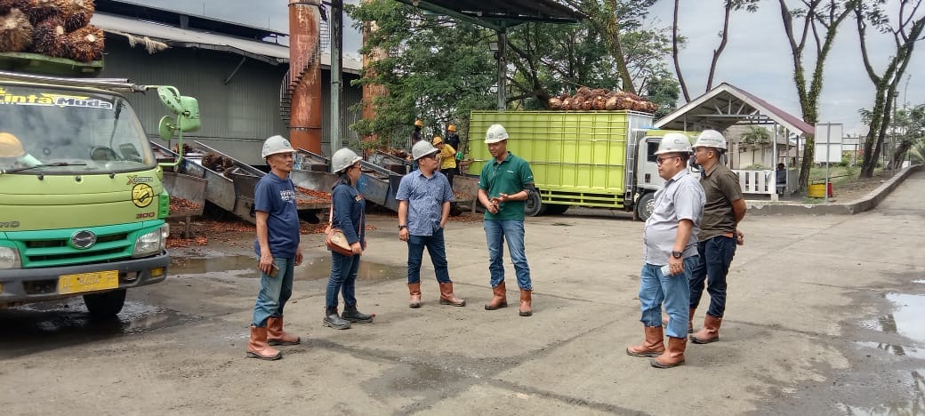 Disabun Sulbar Pantau Harga TBS Kelapa Sawit di Pasangkayu