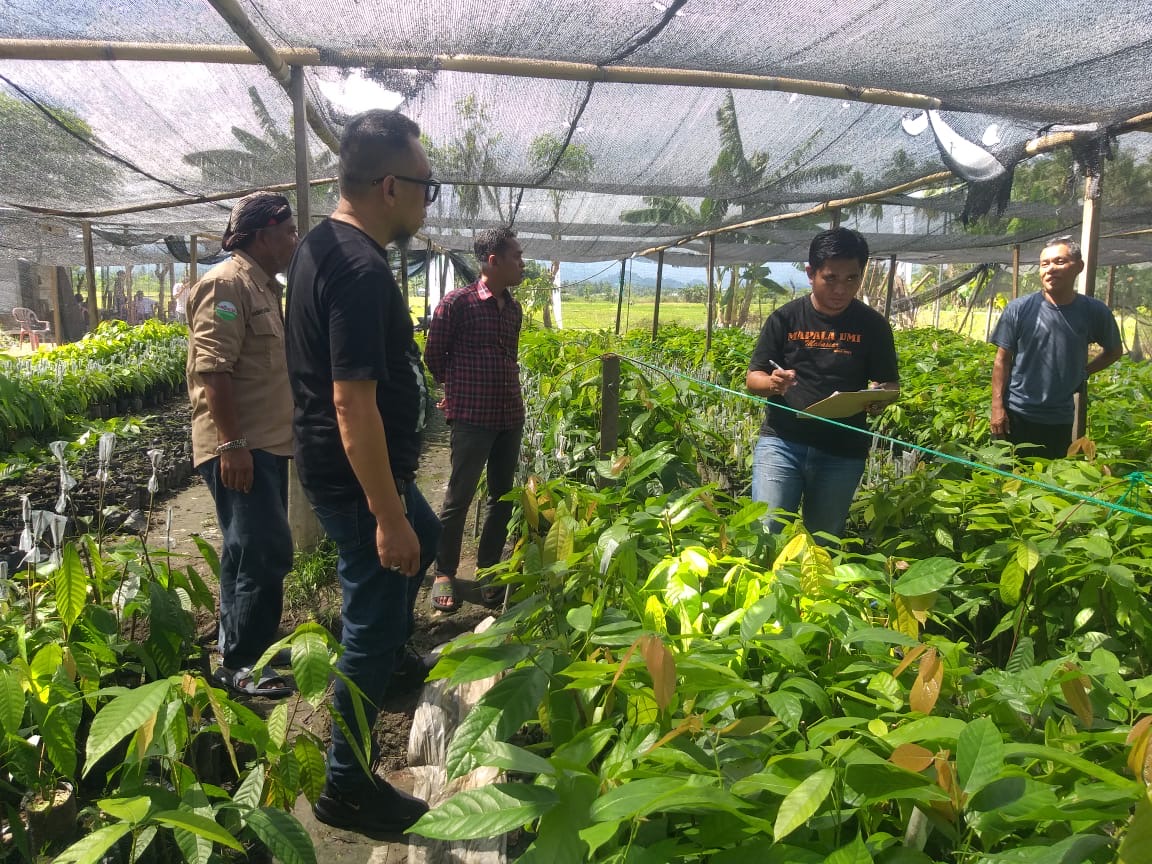 Disbun Lakukan Sertifikasi Benih di Beberapa Kabupaten di Sulbar