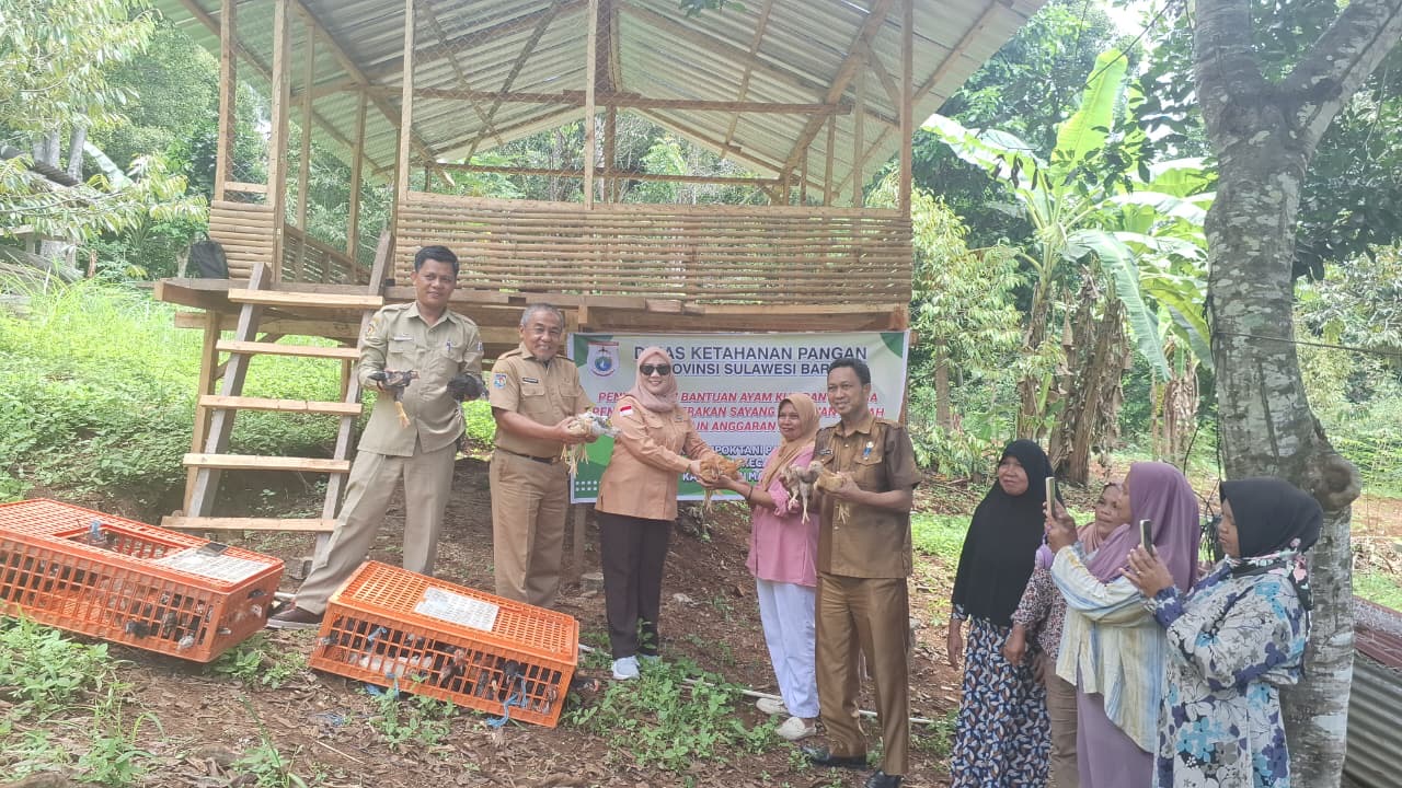Distapang Sulbar Salurkan Bantuan Ayam KUB